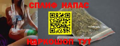 молекула духа Кингисепп