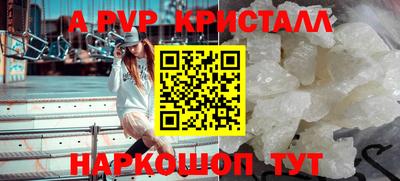 молекула духа Кингисепп