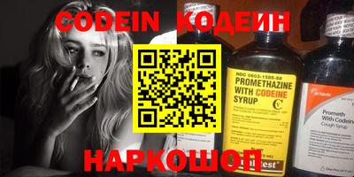 молекула духа Кингисепп