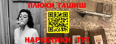 молекула духа Кингисепп