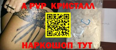 молекула духа Кингисепп